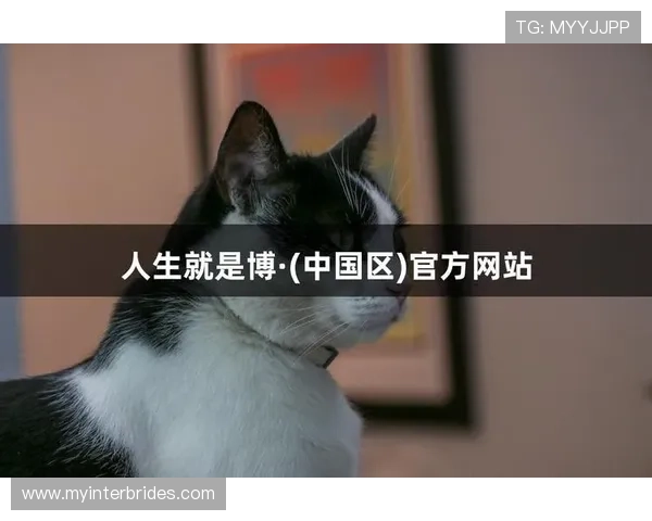 尊龙开始凯时人生就是博z6：探索娱乐人生的无限可能与精彩瞬间